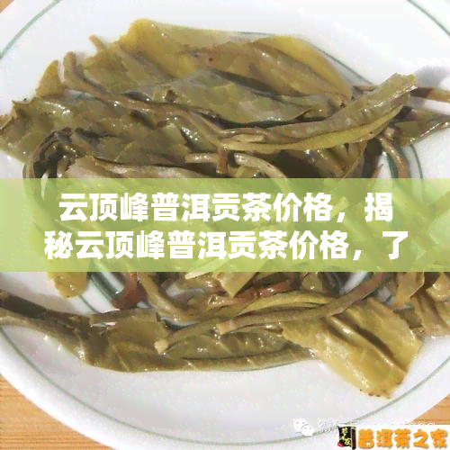 云顶峰普洱贡茶价格，揭秘云顶峰普洱贡茶价格，了解高端茶叶市场行情！