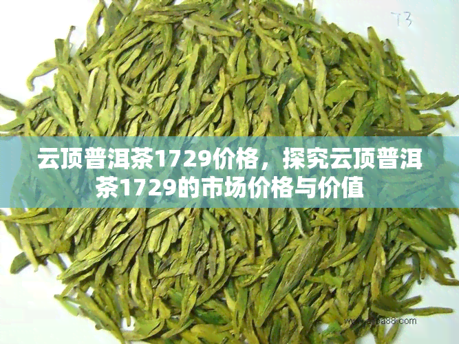 云顶普洱茶1729价格，探究云顶普洱茶1729的市场价格与价值