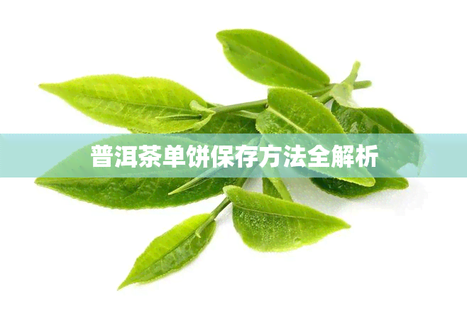 普洱茶单饼保存方法全解析