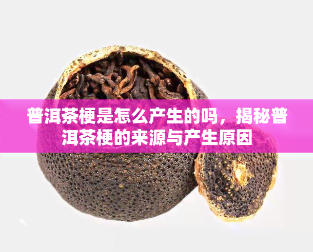 普洱茶梗是怎么产生的吗，揭秘普洱茶梗的来源与产生原因