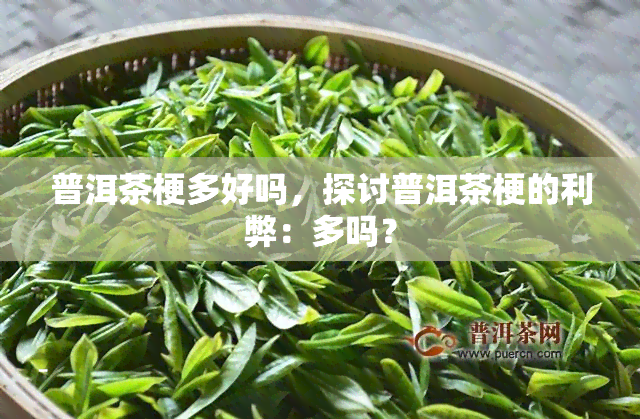 普洱茶梗多好吗，探讨普洱茶梗的利弊：多吗？