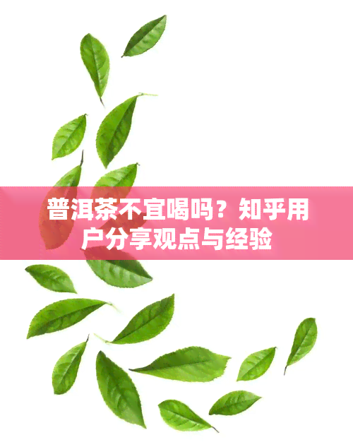 普洱茶不宜喝吗？知乎用户分享观点与经验