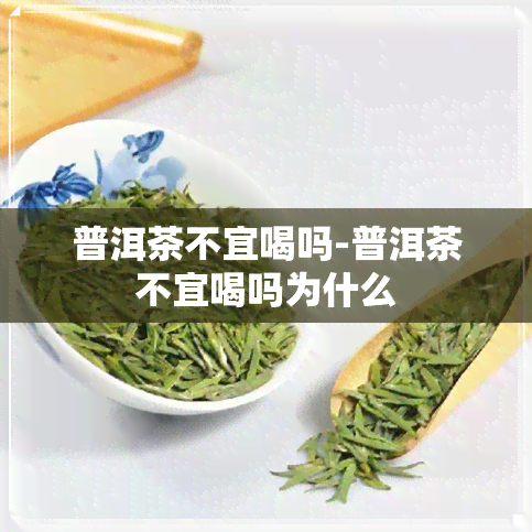 普洱茶不宜喝吗-普洱茶不宜喝吗为什么