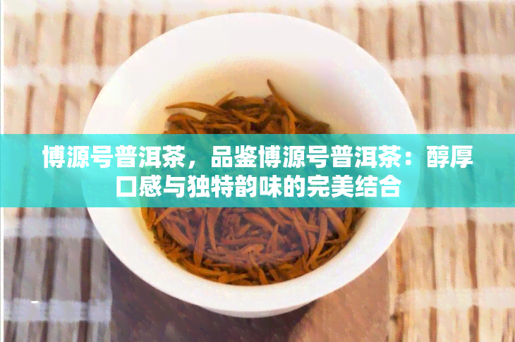 博源号普洱茶，品鉴博源号普洱茶：醇厚口感与独特韵味的完美结合