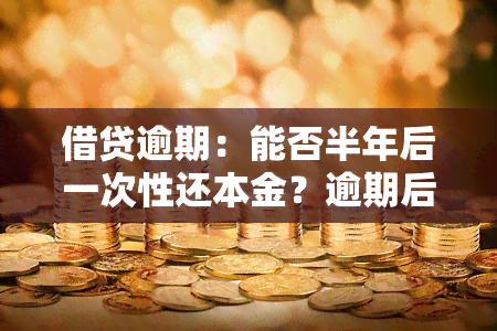 借贷逾期：能否半年后一次性还本金？逾期后果严重