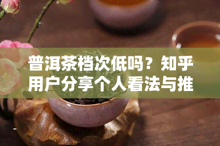 普洱茶档次低吗？知乎用户分享个人看法与推荐