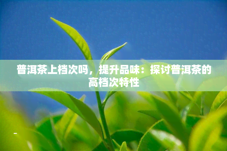 普洱茶上档次吗，提升品味：探讨普洱茶的高档次特性