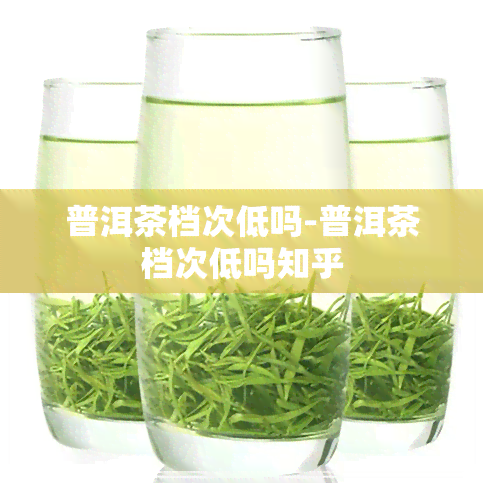 普洱茶档次低吗-普洱茶档次低吗知乎