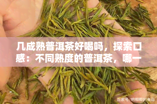 几成熟普洱茶好喝吗，探索口感：不同熟度的普洱茶，哪一种最美味？