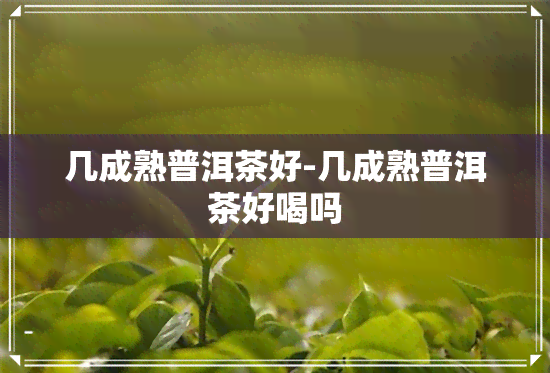 几成熟普洱茶好-几成熟普洱茶好喝吗