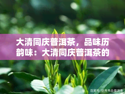 大清同庆普洱茶，品味历韵味：大清同庆普洱茶的独特魅力