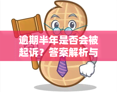 逾期半年是否会被起诉？答案解析与风险提示