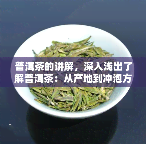 普洱茶的讲解，深入浅出了解普洱茶：从产地到冲泡方法全解析