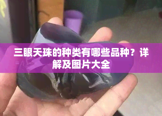 三眼天珠的种类有哪些品种？详解及图片大全