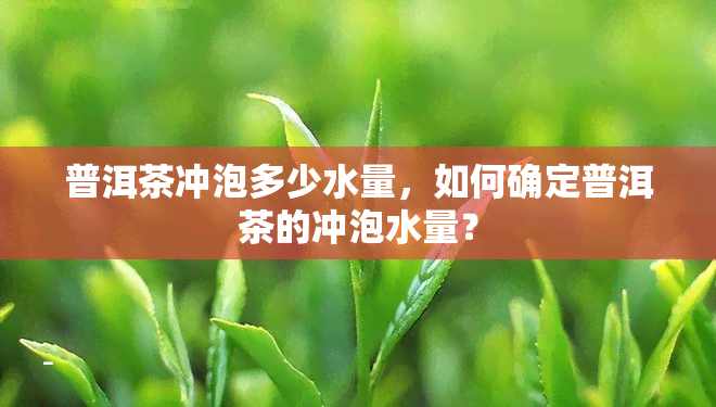 普洱茶冲泡多少水量，如何确定普洱茶的冲泡水量？