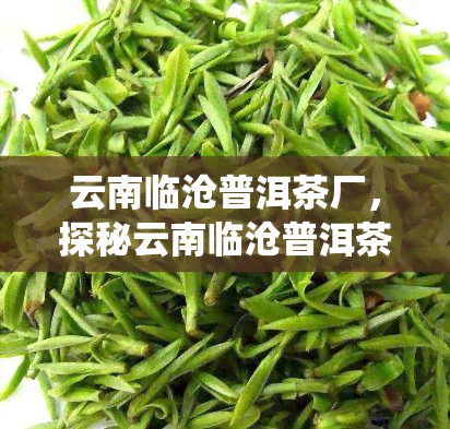 云南临沧普洱茶厂，探秘云南临沧普洱茶厂：传统工艺与现代科技的完美结合