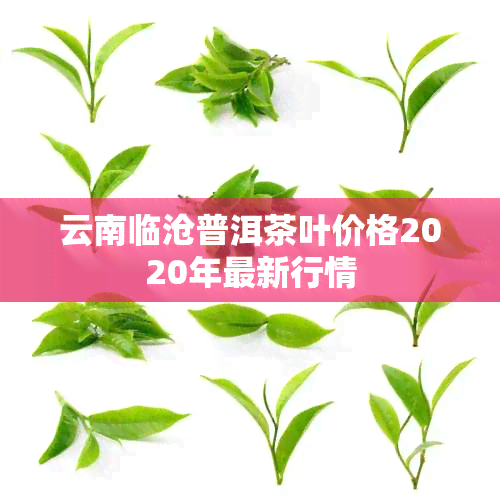 云南临沧普洱茶叶价格2020年最新行情