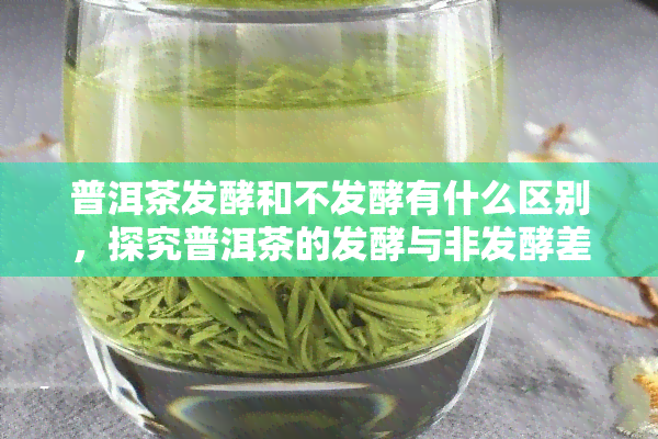 普洱茶发酵和不发酵有什么区别，探究普洱茶的发酵与非发酵差异