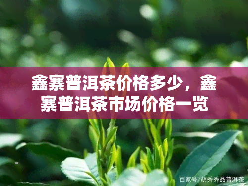 鑫寨普洱茶价格多少，鑫寨普洱茶市场价格一览