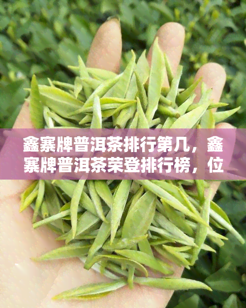 鑫寨牌普洱茶排行第几，鑫寨牌普洱茶荣登排行榜，位列第几位？