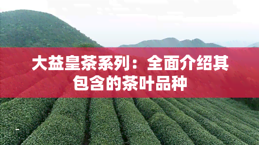 大益皇茶系列：全面介绍其包含的茶叶品种