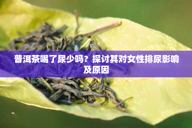 普洱茶喝了尿少吗？探讨其对女性排尿影响及原因