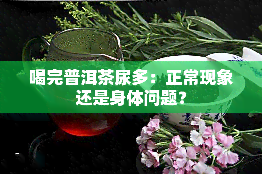 喝完普洱茶尿多：正常现象还是身体问题？