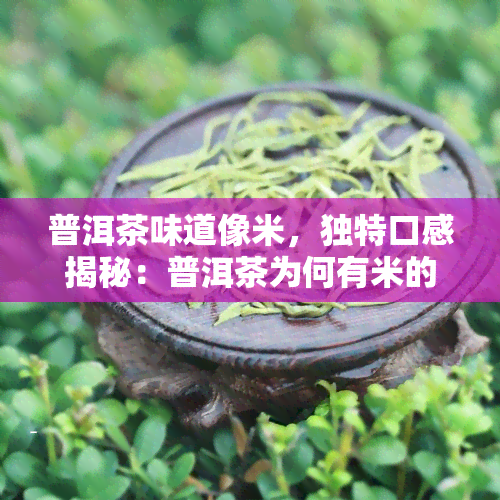 普洱茶味道像米，独特口感揭秘：普洱茶为何有米的味道？