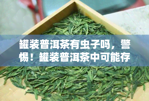 罐装普洱茶有虫子吗，警惕！罐装普洱茶中可能存在的虫害问题