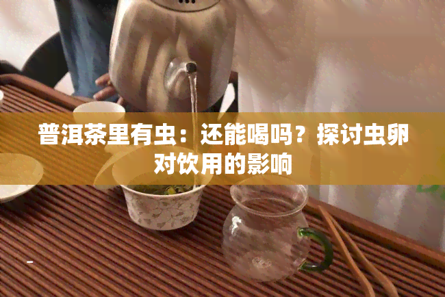 普洱茶里有虫：还能喝吗？探讨虫卵对饮用的影响