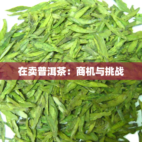 在卖普洱茶：商机与挑战