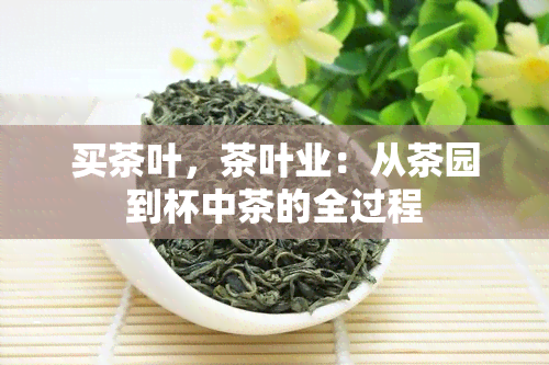 买茶叶，茶叶业：从茶园到杯中茶的全过程