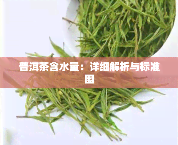 普洱茶含水量：详细解析与标准围