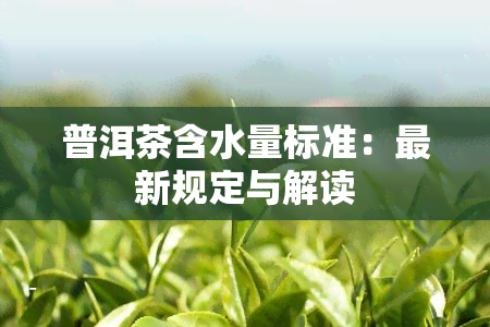 普洱茶含水量标准：最新规定与解读