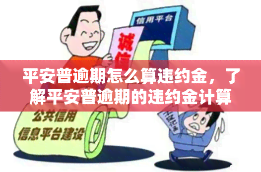 平安普逾期怎么算违约金，了解平安普逾期的违约金计算方式