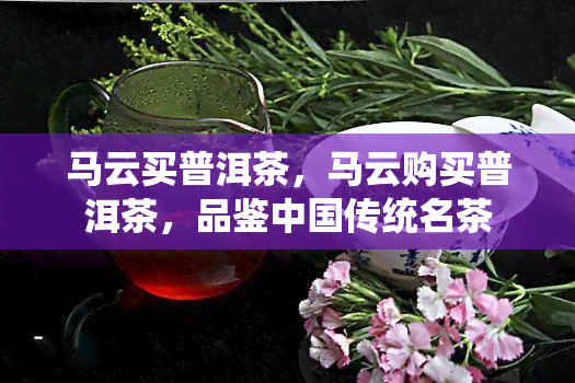 马云买普洱茶，马云购买普洱茶，品鉴中国传统名茶