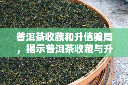 普洱茶收藏和升值骗局，揭示普洱茶收藏与升值的骗局