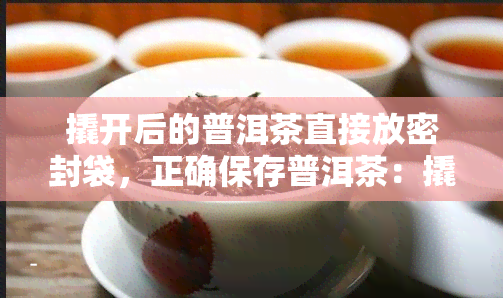 撬开后的普洱茶直接放密封袋，正确保存普洱茶：撬开后应立即放入密封袋