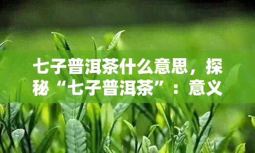 七子普洱茶什么意思，探秘“七子普洱茶”：意义与背后的故事