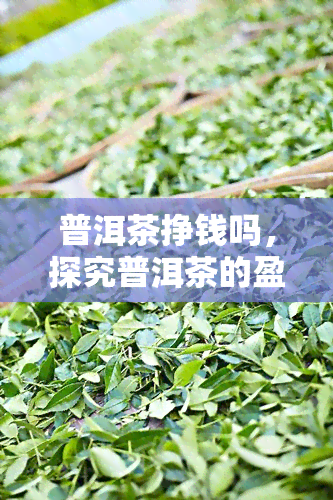 普洱茶挣钱吗，探究普洱茶的盈利潜力：是否值得投资？