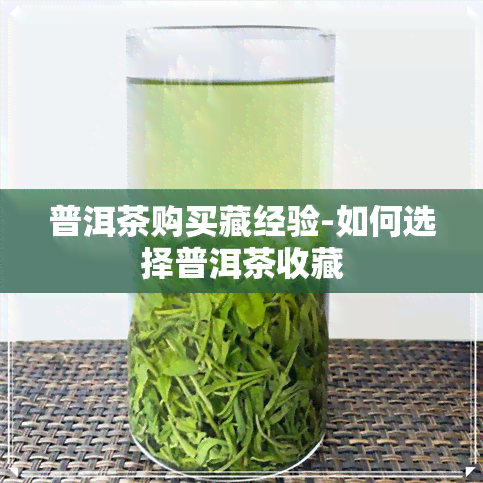 普洱茶购买藏经验-如何选择普洱茶收藏