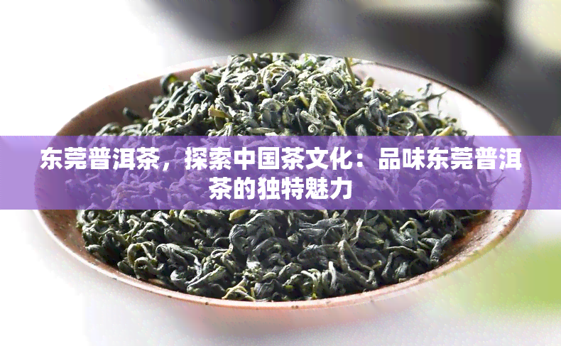 东莞普洱茶，探索中国茶文化：品味东莞普洱茶的独特魅力