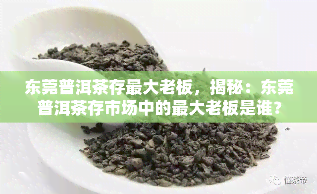 东莞普洱茶存更大老板，揭秘：东莞普洱茶存市场中的更大老板是谁？