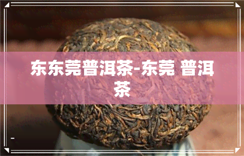 东东莞普洱茶-东莞 普洱茶