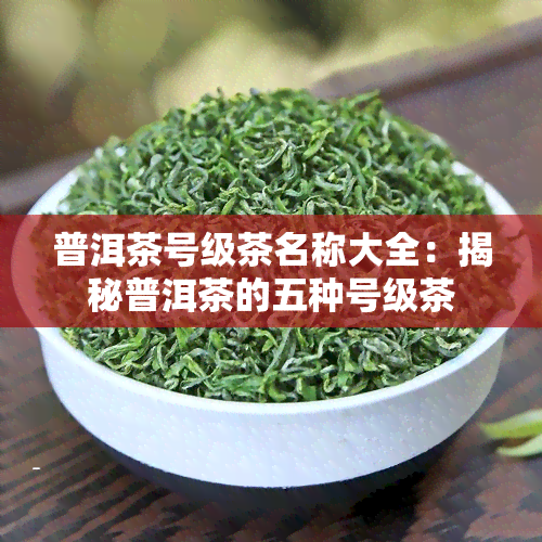 普洱茶号级茶名称大全：揭秘普洱茶的五种号级茶