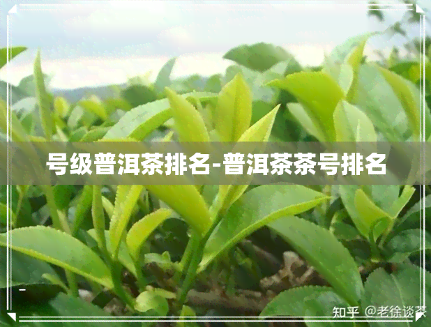 号级普洱茶排名-普洱茶茶号排名