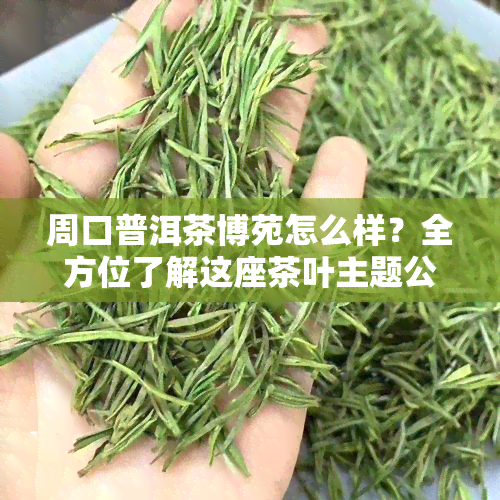 周口普洱茶博苑怎么样？全方位了解这座茶叶主题公园