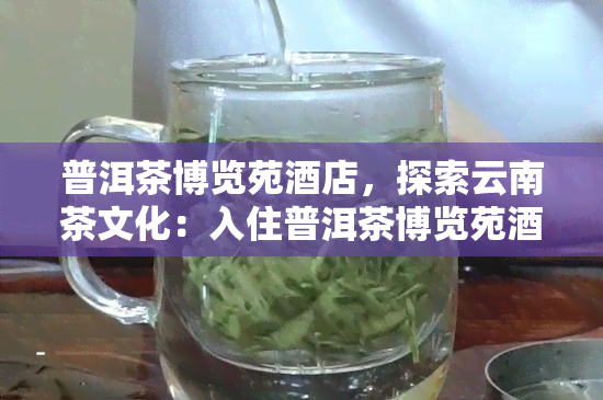 普洱茶博览苑店，探索云南茶文化：入住普洱茶博览苑店，感受千年茶韵