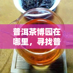 普洱茶博园在哪里，寻找普洱茶的源头：揭秘普洱茶博园的位置