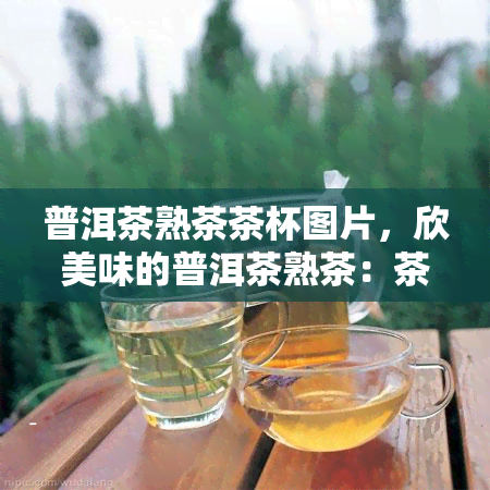 普洱茶熟茶茶杯图片，欣美味的普洱茶熟茶：茶杯中的艺术